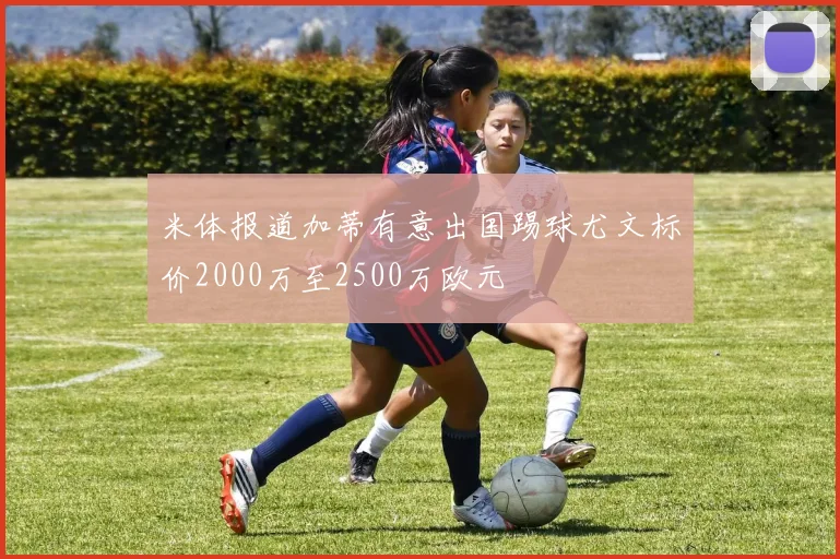 米体报道加蒂有意出国踢球尤文标价2000万至2500万欧元
