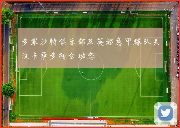 多家沙特俱乐部及英超意甲球队关注卡萨多转会动态