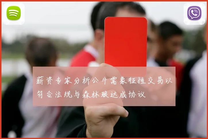 薪资专家分析公牛需象征性交易以符合法规与森林狼达成协议